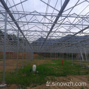 Serre de structure en acier de ferme pour l&#39;usine